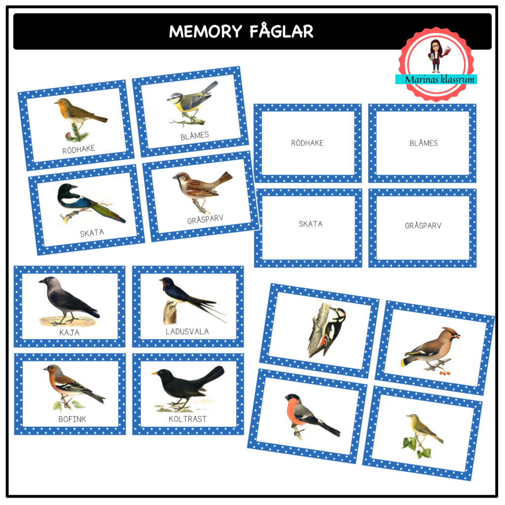 Memory med fåglar