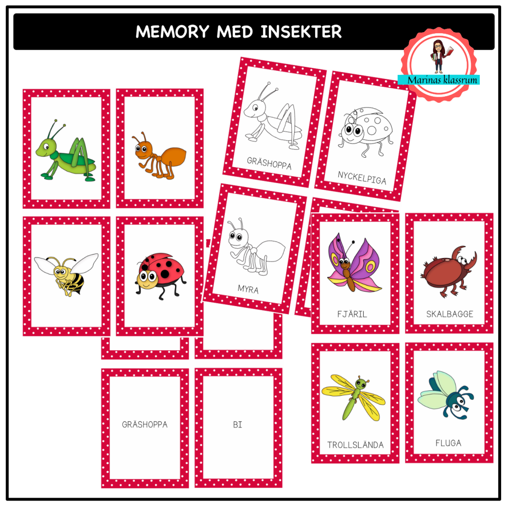 Memory med insekter