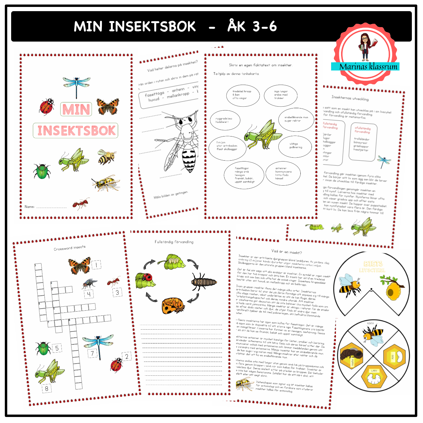 Min bok om insekter åk 3-6