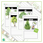 Min faktabok om träd - bild 2