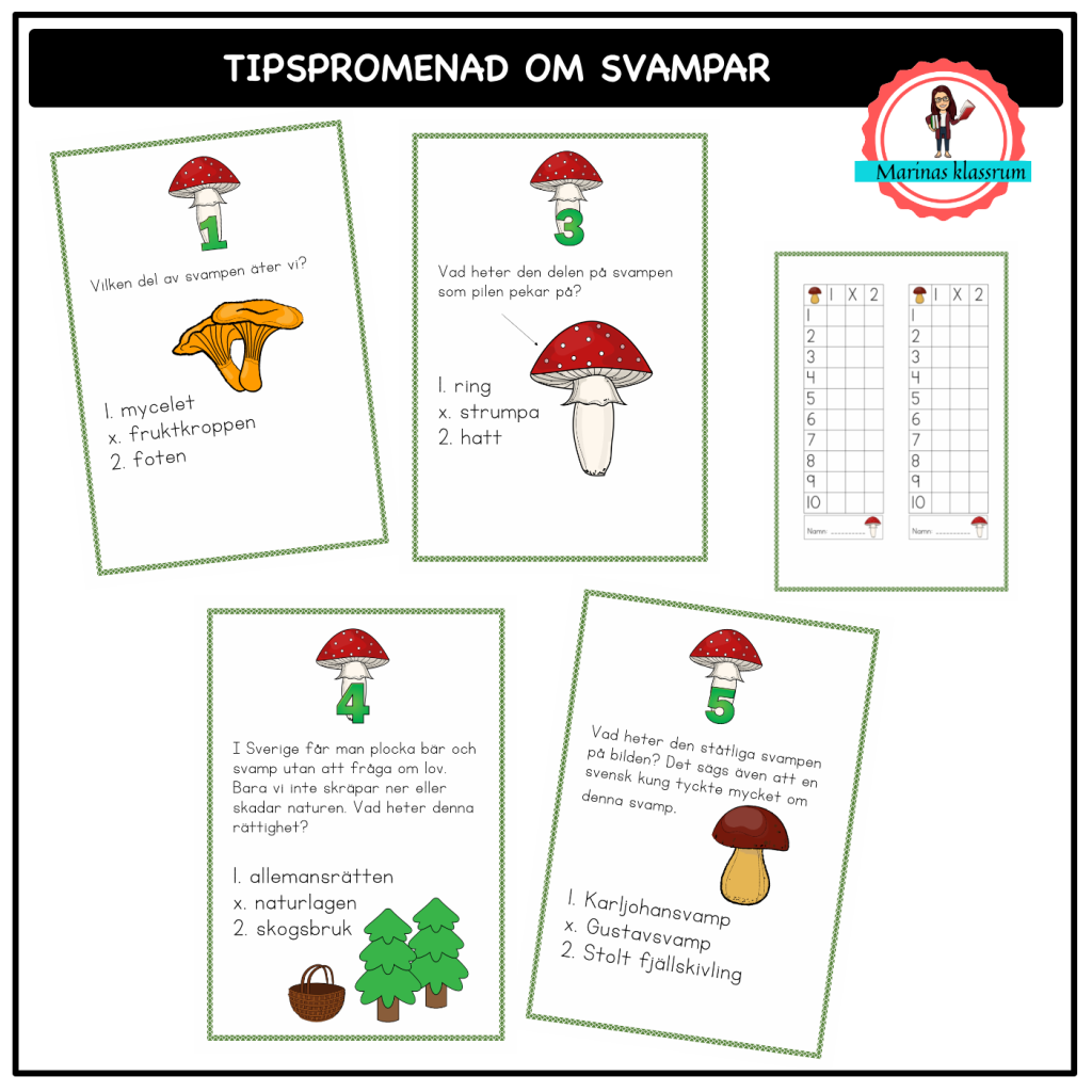 Tipspromenad om svampar