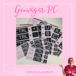 Genvägar PC