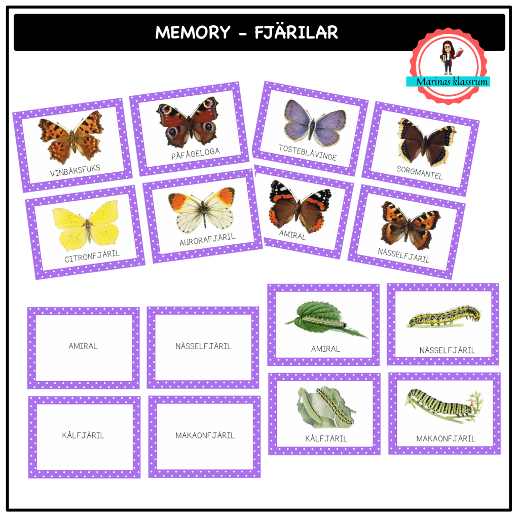 Memory med fjärilar