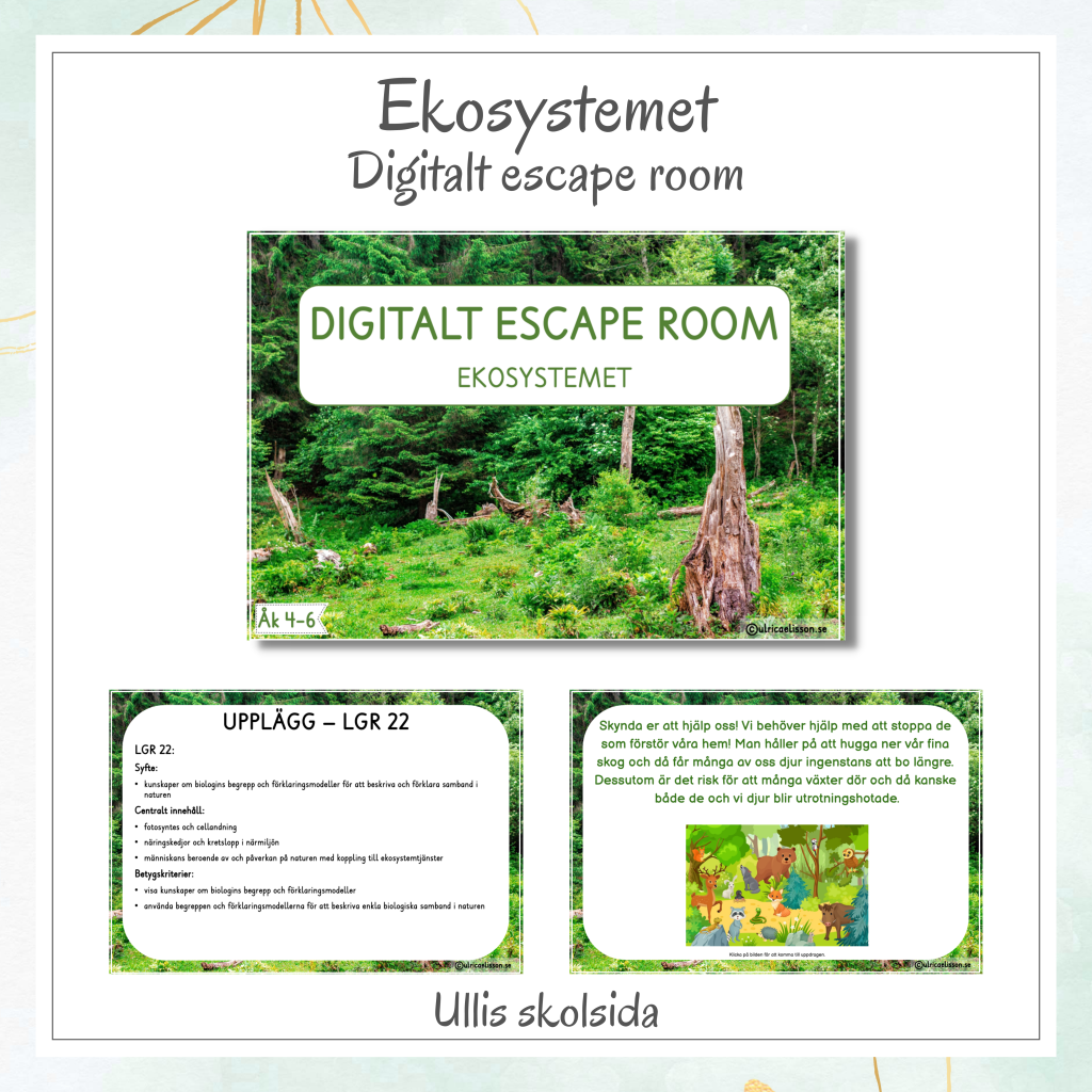 Escape room – Ekosystemet