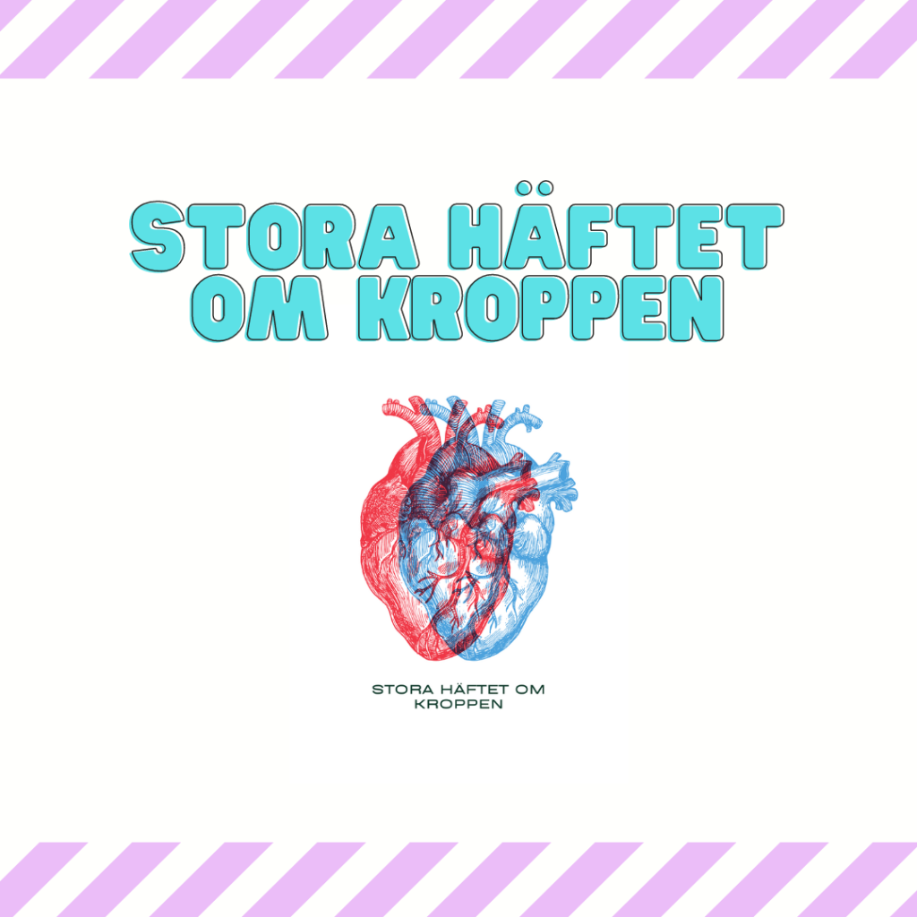 Stora häftet om kroppen – 40 sidor texter, arbetsblad och aktiviteter
