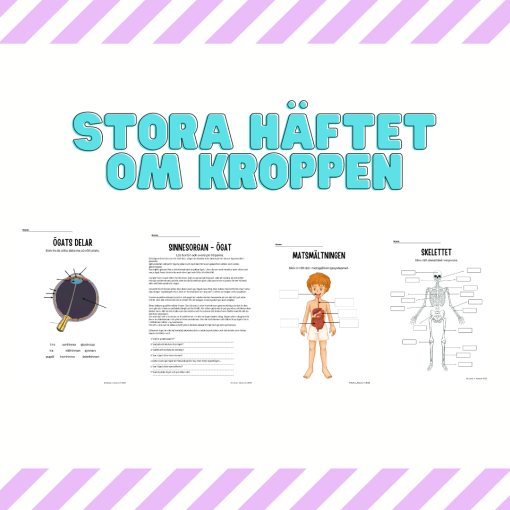 Stora häftet om kroppen - 40 sidor texter, arbetsblad och aktiviteter