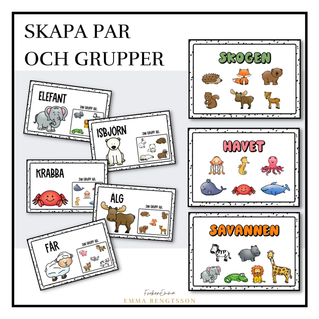 Par och grupper – tema djur