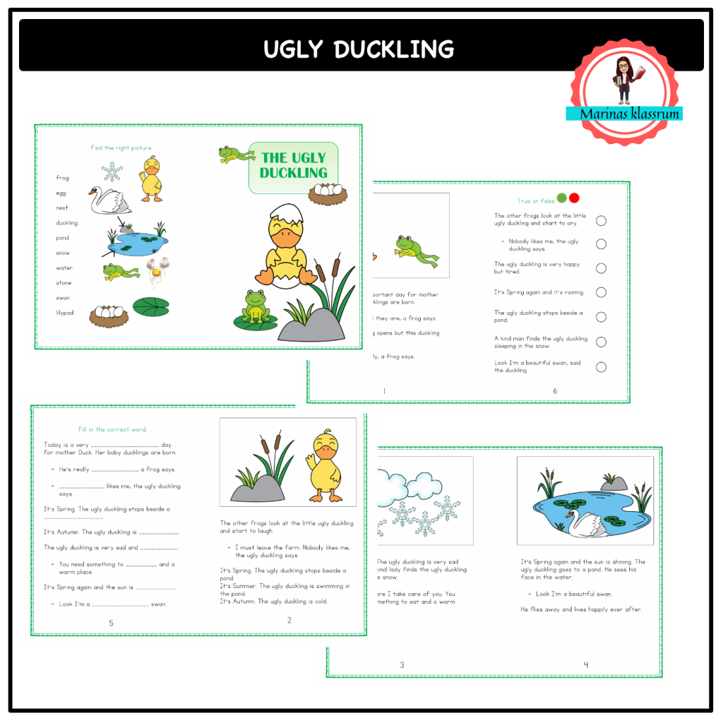 The ugly duckling – story book