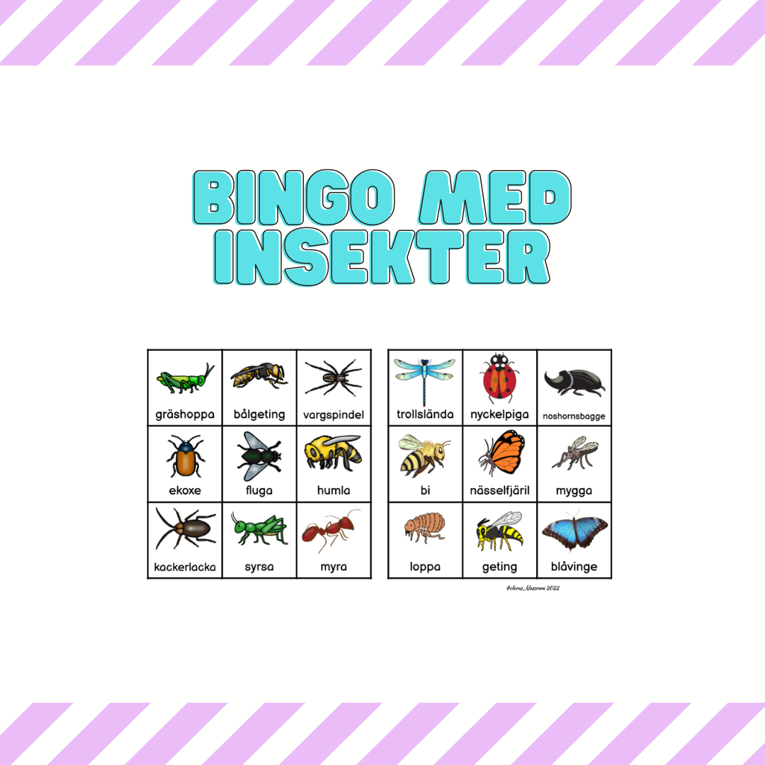 Bingo med insekter