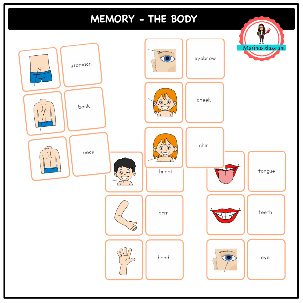 English memory – the body