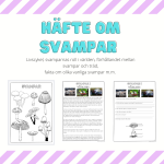 Svampar – ett arbetshäfte - bild 1