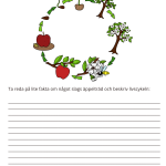 Fotosyntes och träd – ett arbetshäfte - bild 10