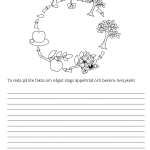 Fotosyntes och träd – ett arbetshäfte - bild 11