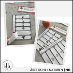 Äpplets livscykel - bild 4