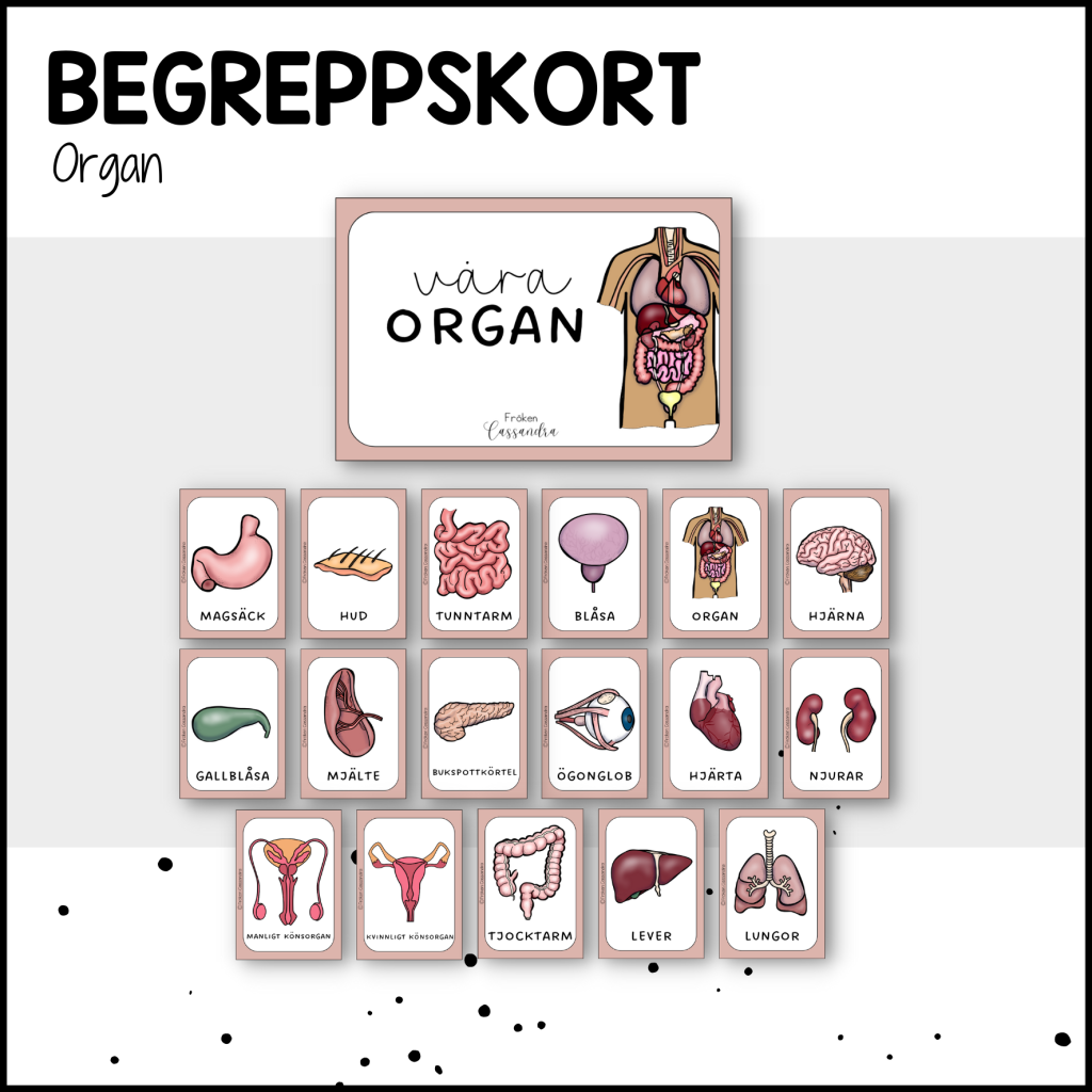 Begreppskort: organ