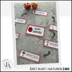 Äpplets livscykel - bild 3