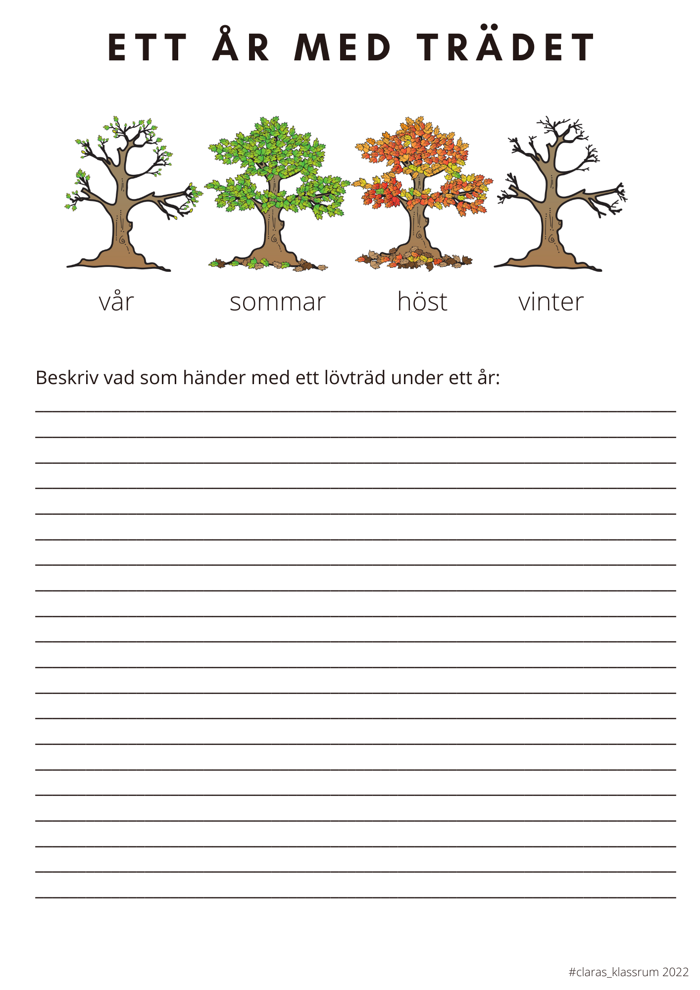 Fotosyntes och träd - ett arbetshäfte