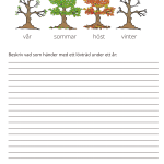 Fotosyntes och träd – ett arbetshäfte - bild 13