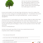 Fotosyntes och träd – ett arbetshäfte - bild 15