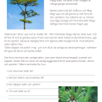 Fotosyntes och träd – ett arbetshäfte - bild 16