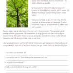 Fotosyntes och träd – ett arbetshäfte - bild 19