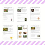 Svampar – ett arbetshäfte - bild 2