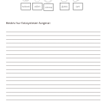 Fotosyntes och träd – ett arbetshäfte - bild 4