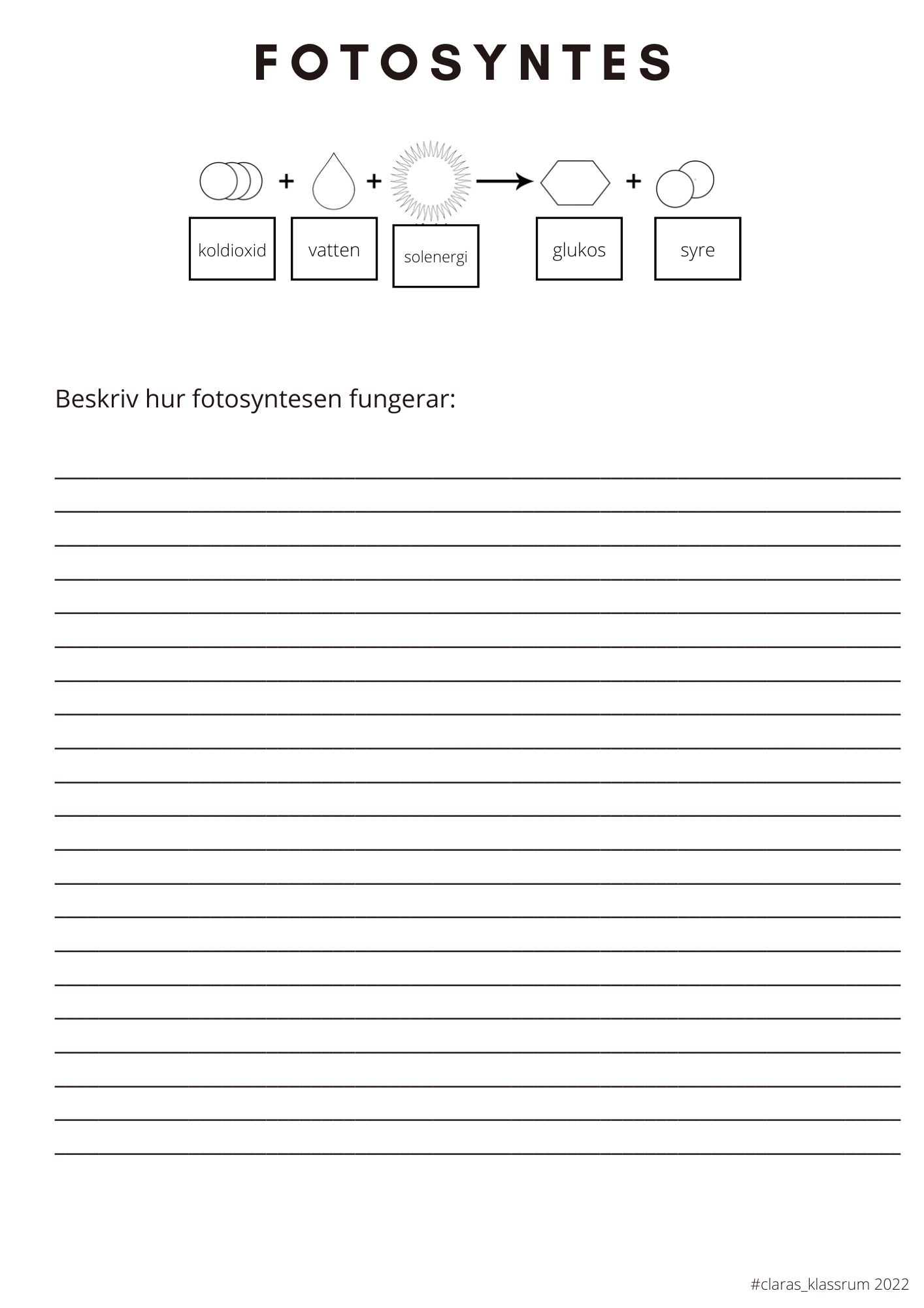 Fotosyntes och träd - ett arbetshäfte