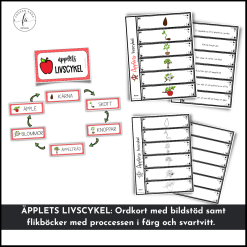 Äpplets livscykel