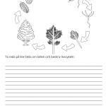 Fotosyntes och träd – ett arbetshäfte - bild 9