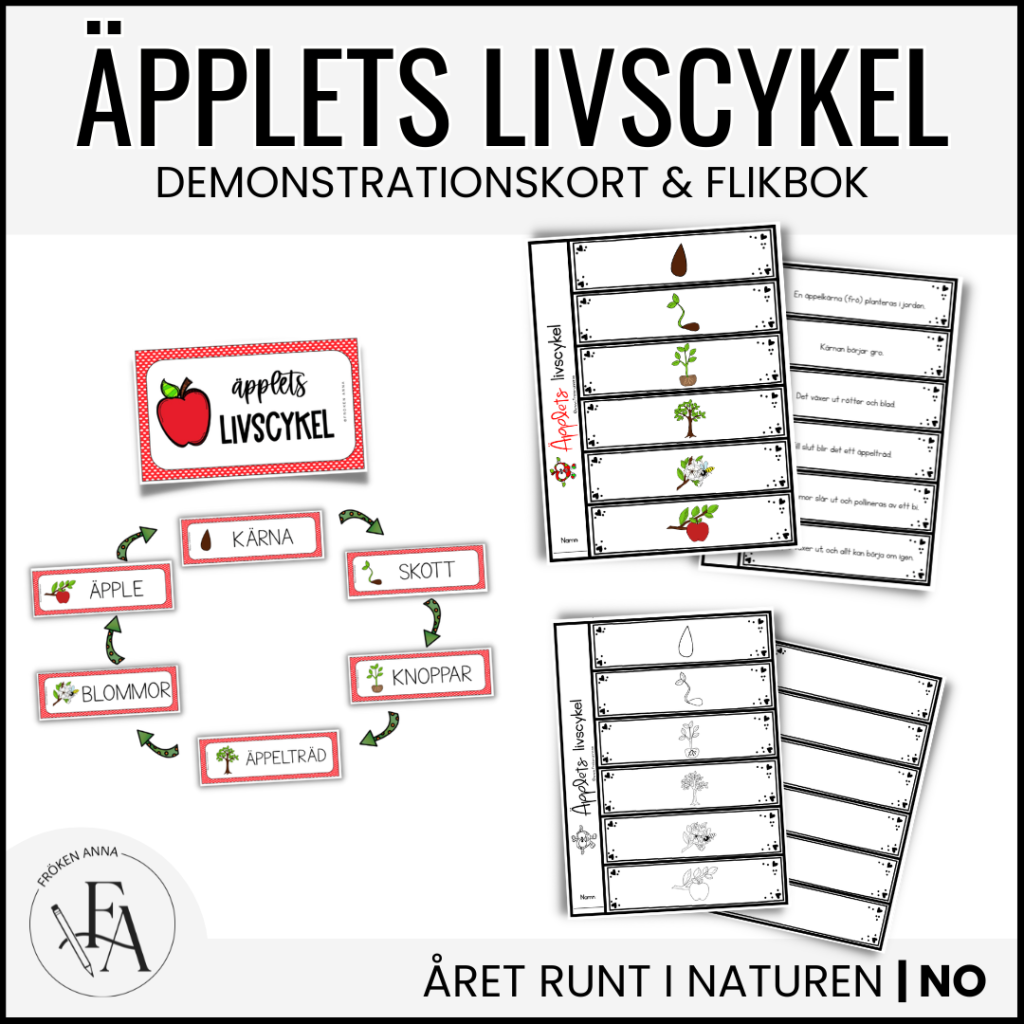 Äpplets livscykel