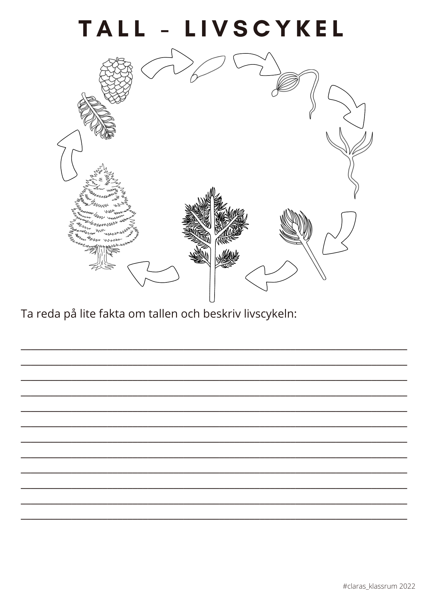 Fotosyntes och träd - ett arbetshäfte