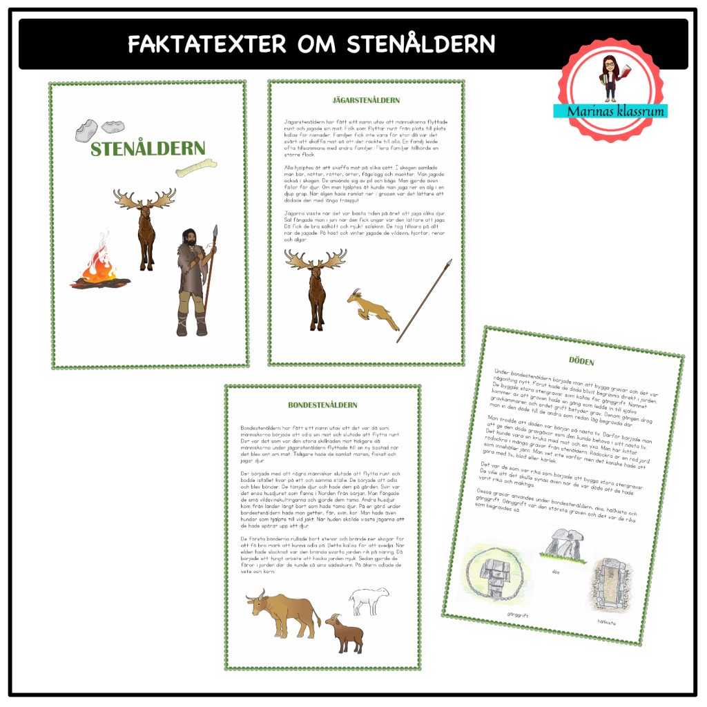 Faktatexter om stenåldern