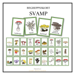 Svamp – begreppskort - bild 1