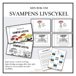Min bok om svampens livscykel - bild 1