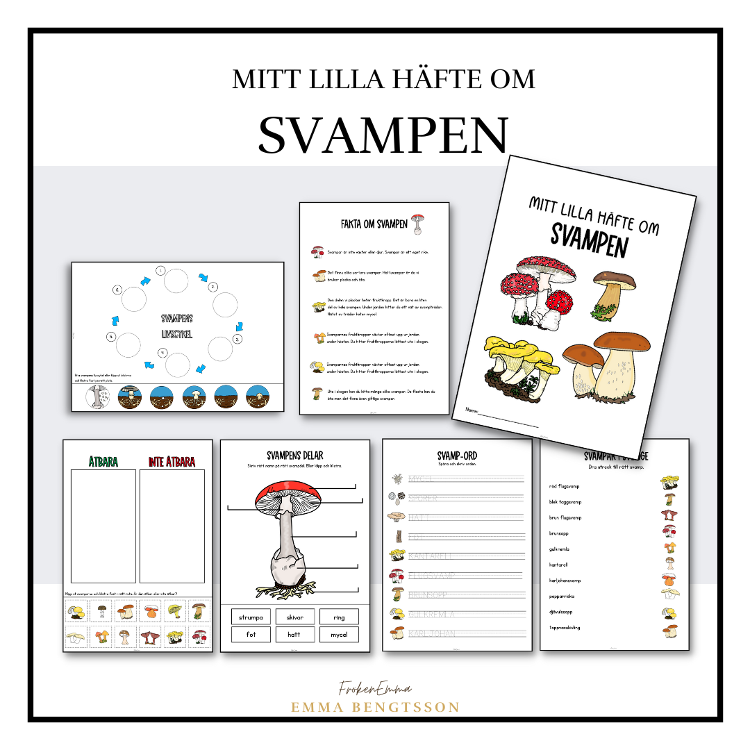 Mitt lilla häfte om svampen