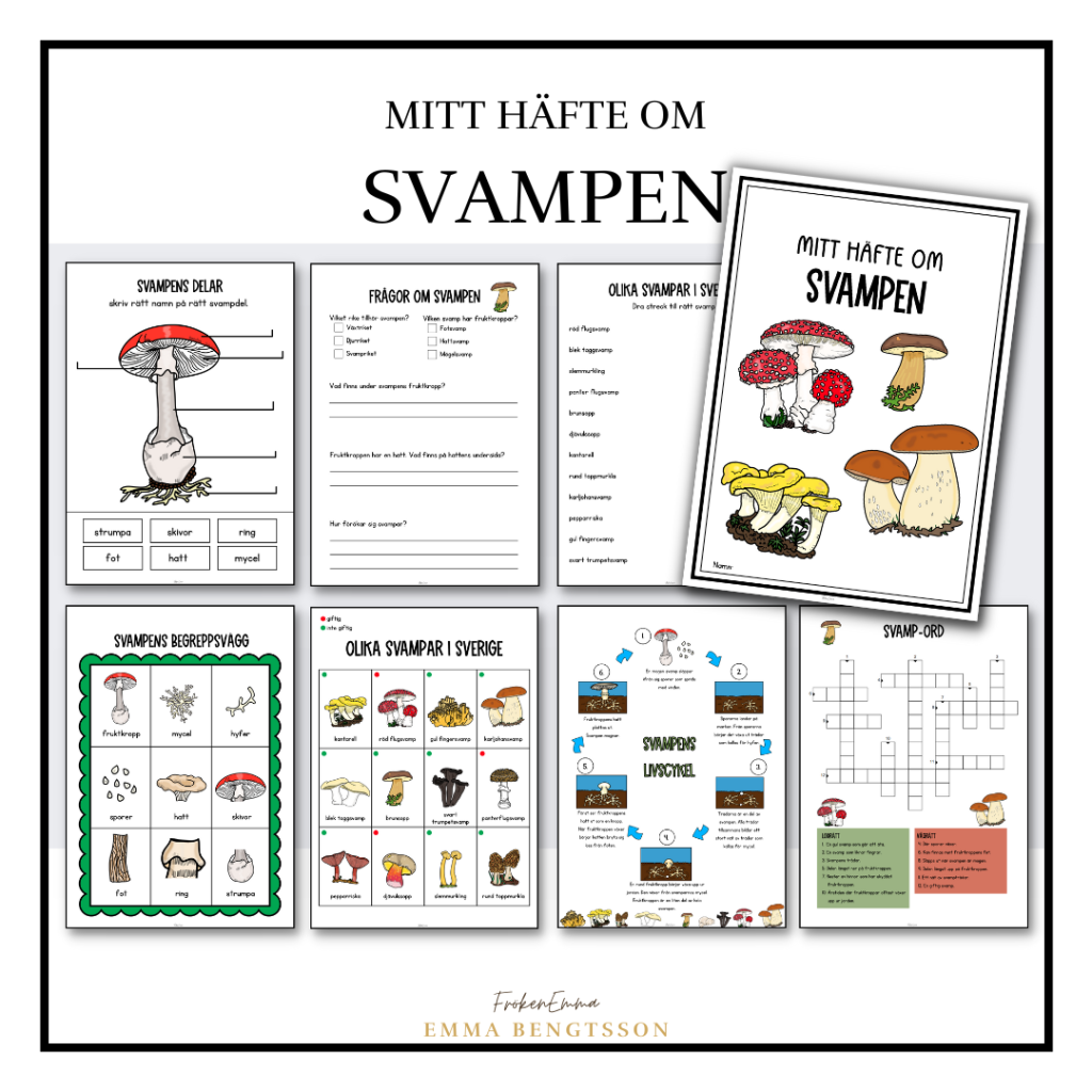 Mitt häfte om svampen