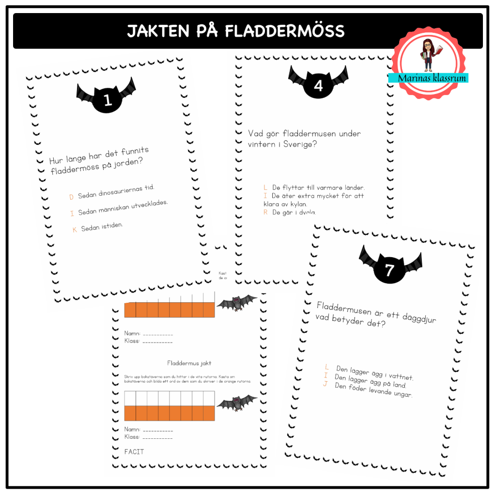 Jakten på fladdermöss