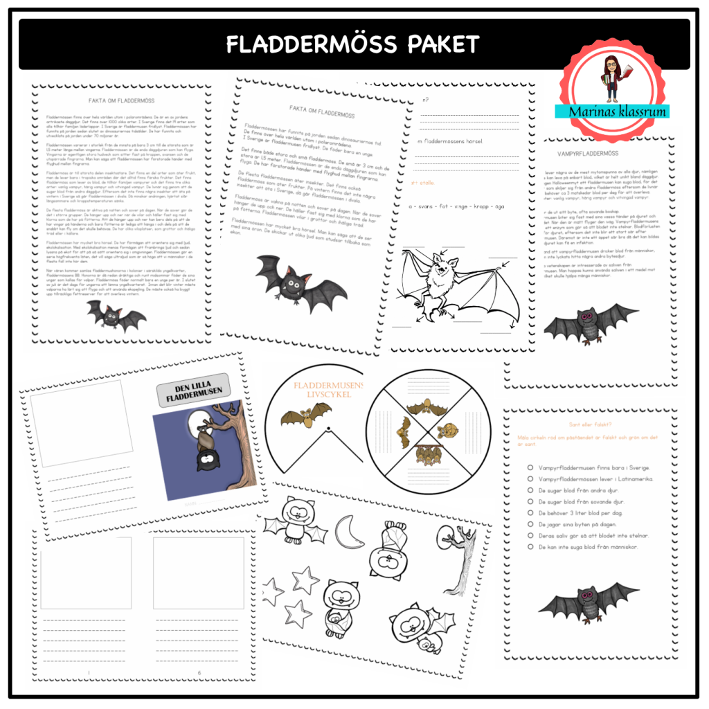 Allt om fladdermöss – materialpaket