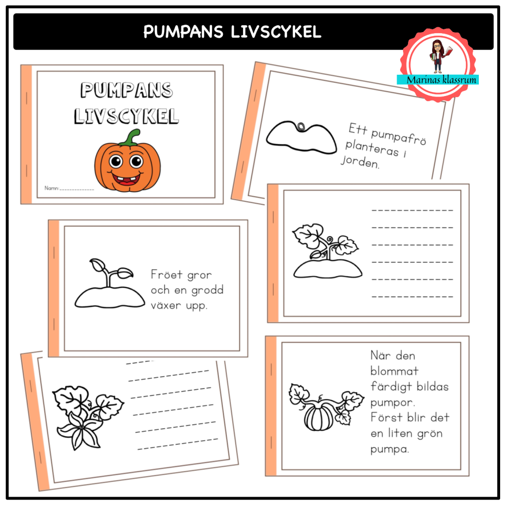 Pumpans livscykel