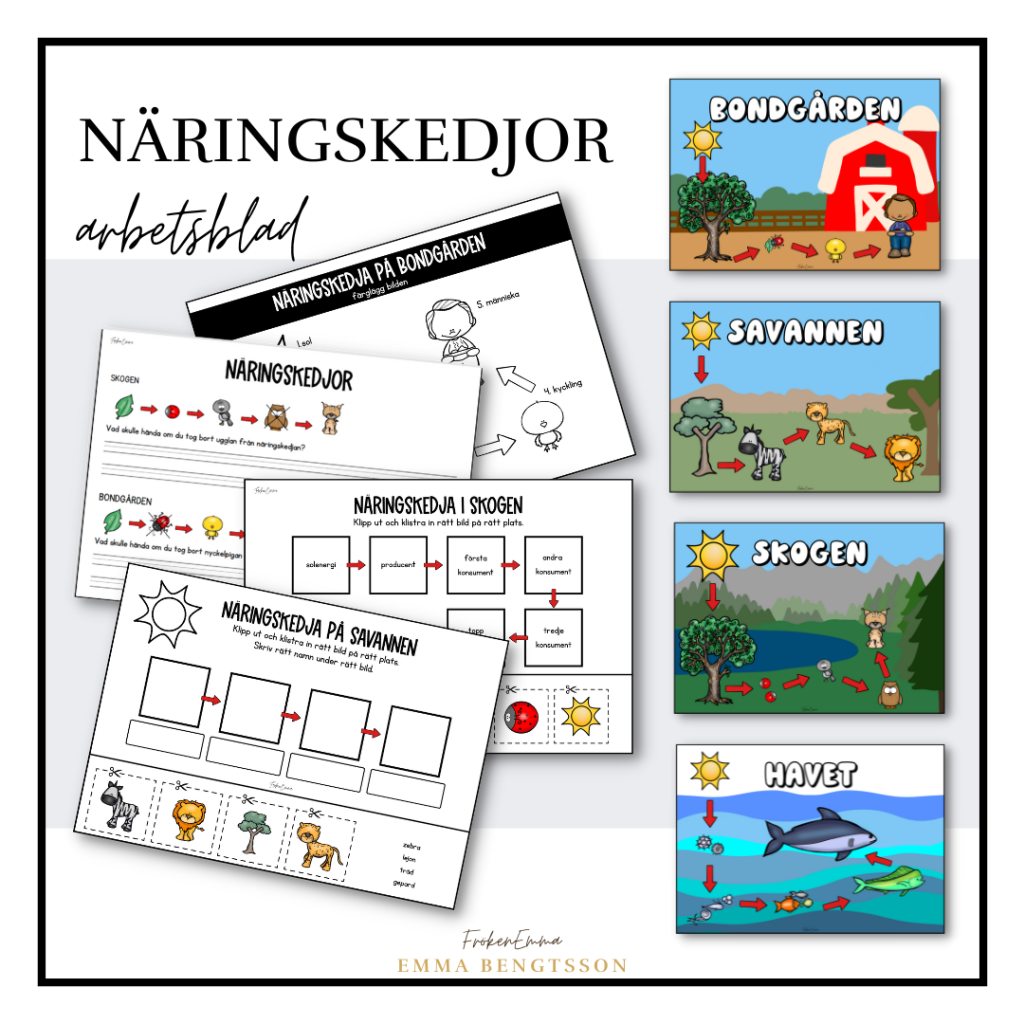 Näringskedjor arbetsblad