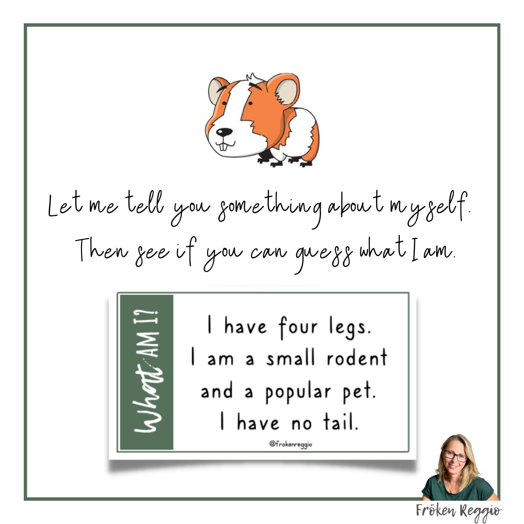 What am I - Domestic Animals