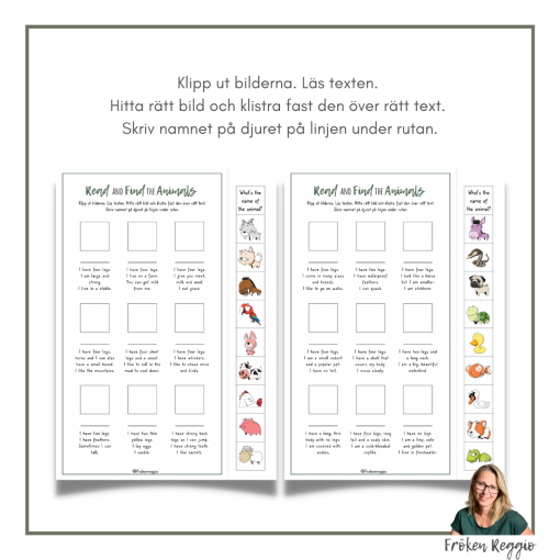 Read and find the Domestic animals