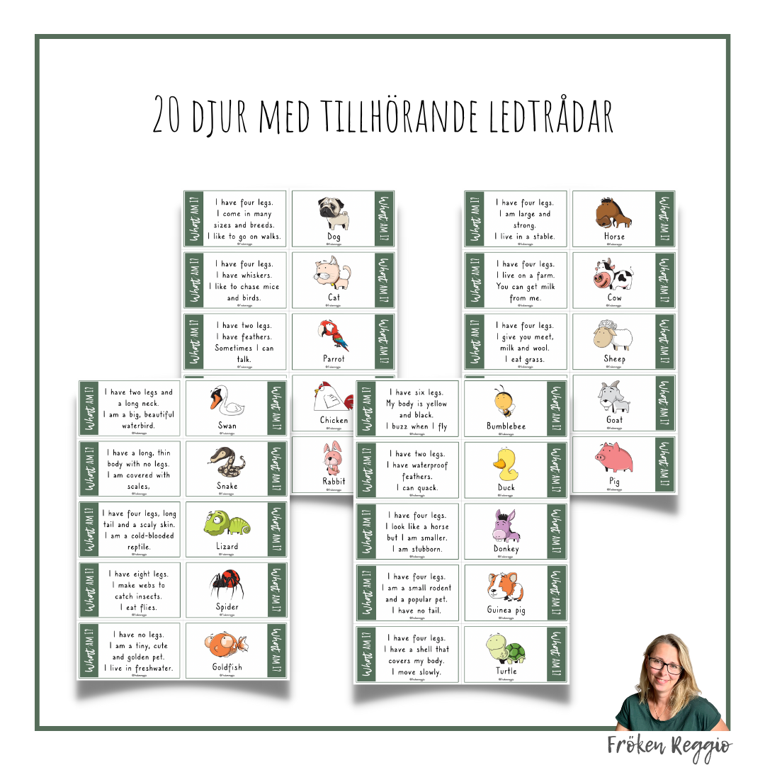 What am I - Domestic Animals