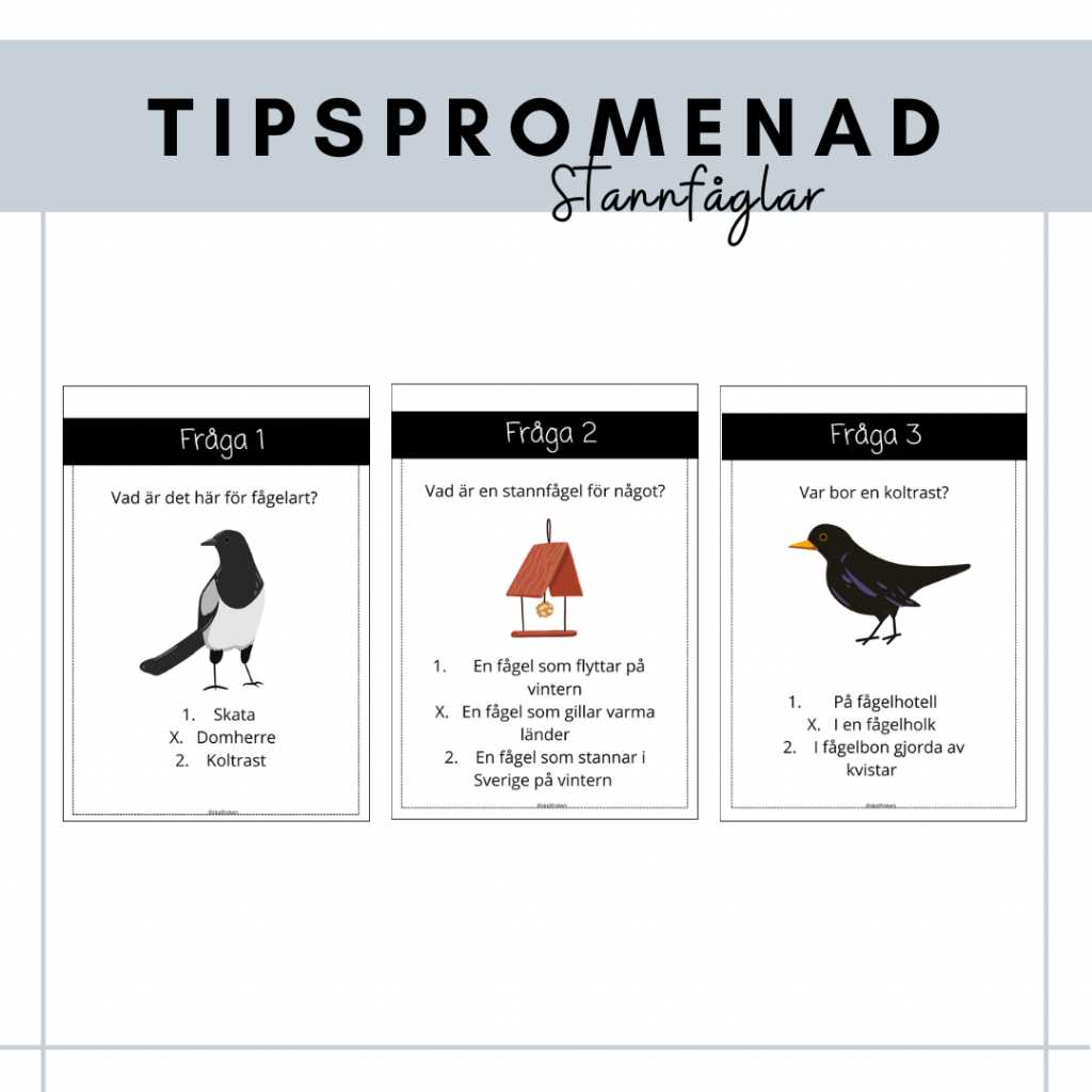 Tipspromenad stannfåglar