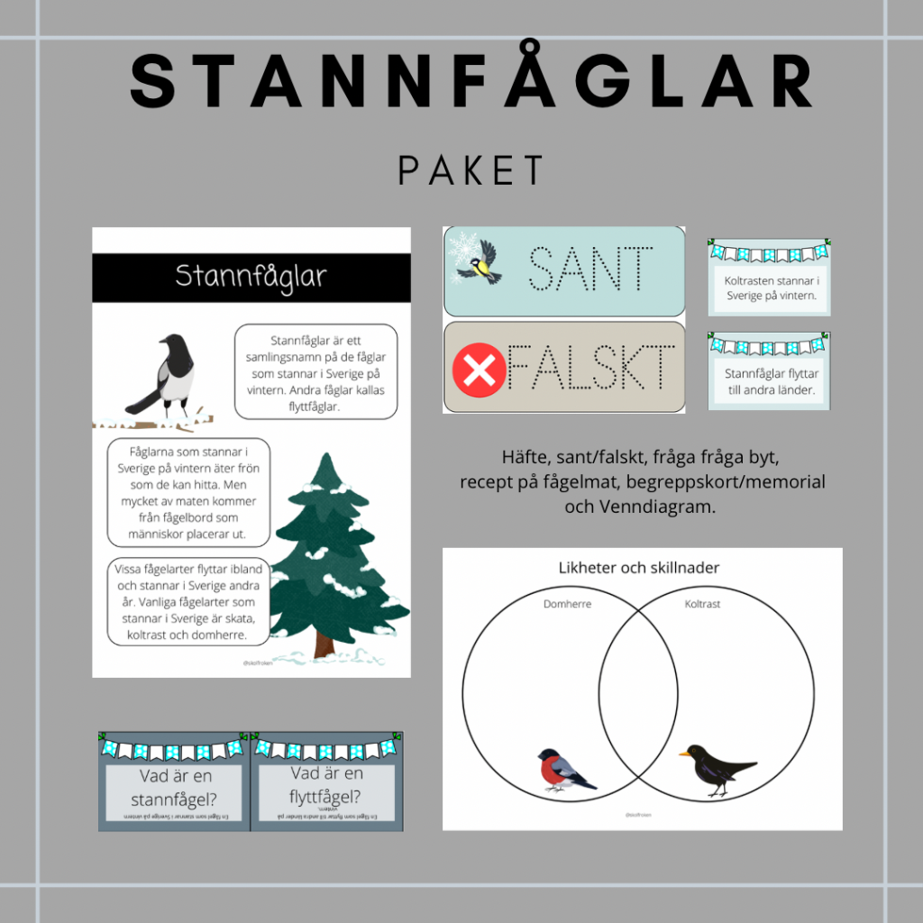 Vinterfåglar/stannfåglar