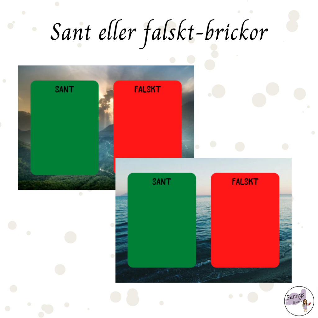 Sant eller falskt-brickor
