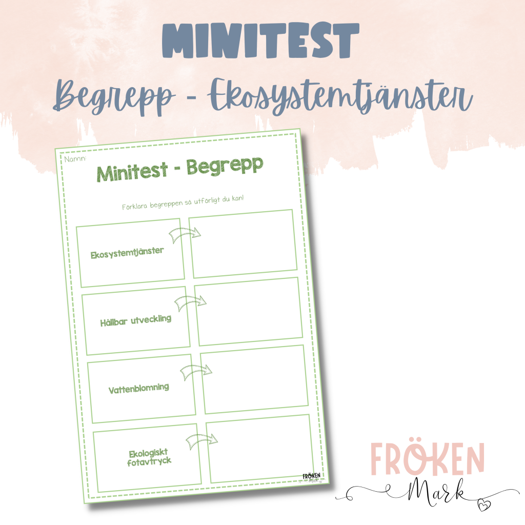 Minitest – Begrepp om ekosystemtjänster