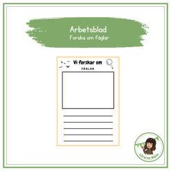 Arbetsblad- forska om fåglar