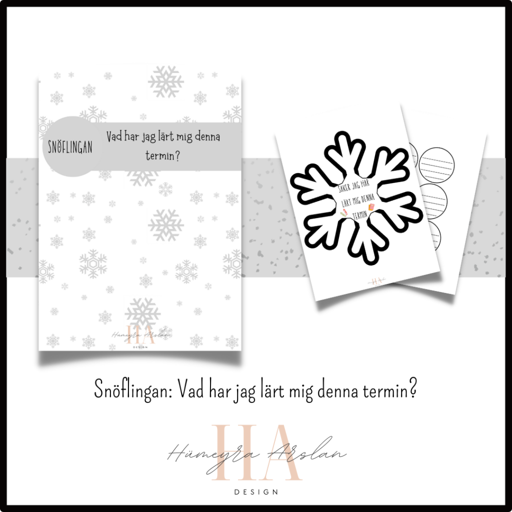 Snöflingan: Vad har jag lärt mig denna termin?